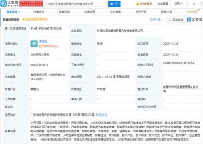 比亞迪于東莞成立新公司，業務涵蓋保險代理與貿易經紀代理